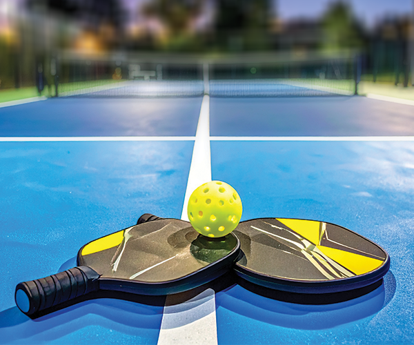 Pickleball popularity chart